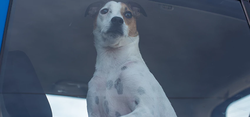 Car Lockout Solutions in Inglewood, California